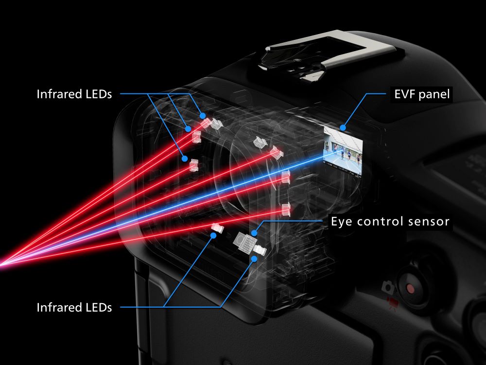 fotopuntoit_canon_eos-r1_eye-af