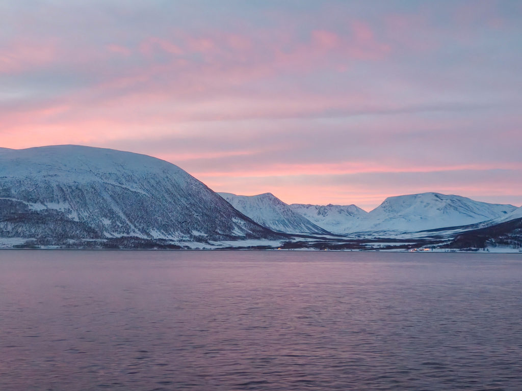 fotopuntoit_oppo_find-x8-pro_tromso_whales_13