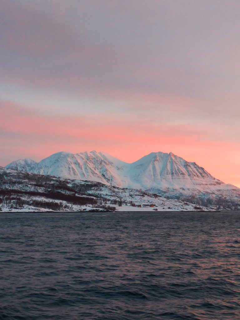 fotopuntoit_oppo_find-x8-pro_tromso_whales_2