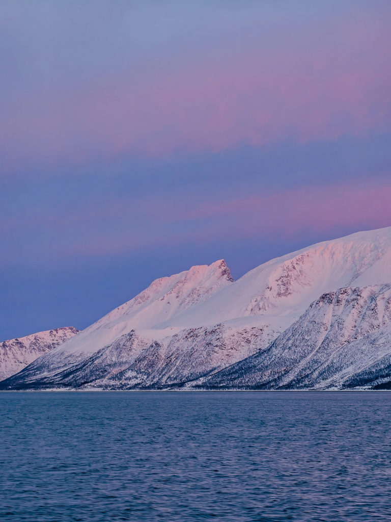 fotopuntoit_oppo_find-x8-pro_tromso_whales_9